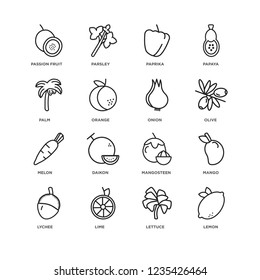 Set Of 16 Fruits and vegetables linear icons such as Lemon, Lettuce, Lime, Lychee, Mango, Passion fruit, Palm, Melon, Onion, editable stroke icon pack, pixel perfect