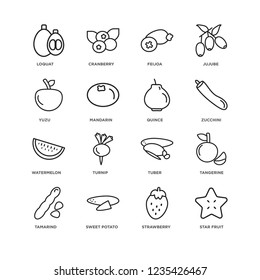 Set Of 16 Fruits and vegetables linear icons such as Star fruit, Strawberry, Sweet potato, Tamarind, Tangerine, Loquat, Yuzu, Watermelon, quince, editable stroke icon pack, pixel perfect