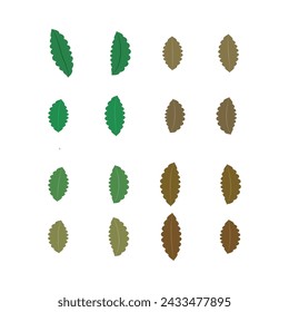 Set of 16 green, brown Leaf simple icon illustration. Cartoon style elements for web or product design.