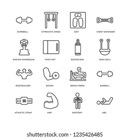 Set Of 16 Gym and Fitness linear icons such as Abs, Anatomy, Arm, Athletic Strap, Barbell, Dumbbell, Boxing Mannequin, Bodybuilder, bag, editable stroke icon pack, pixel perfect
