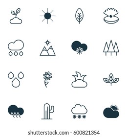 Set Of 16 Harmony Icons. Includes Sunny Weather, Bush, Cactus And Other Symbols. Beautiful Design Elements.