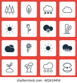 Set Of 16 Harmony Icons. Includes Oak, Cactus, Rain And Other Symbols. Beautiful Design Elements.