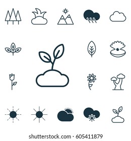 Set Of 16 Harmony Icons. Includes Forest, Plant, Tree Leaf And Other Symbols. Beautiful Design Elements.