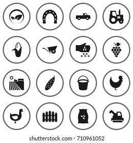 Set Of 16 Harvest Icons Set.Collection Of Vineyard, Pushcart, Pail And Other Elements.