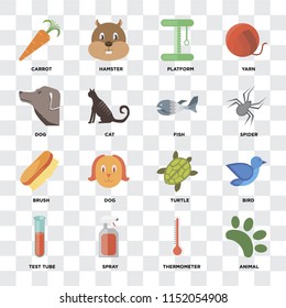 Set Of 16 icons such as Animal, Thermometer, Spray, Test tube, Bird, Carrot, Dog, Brush, Fish on transparent background, pixel perfect