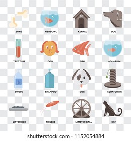 Set Of 16 icons such as Cat, Hamster ball, Frisbee, Litter box, Scratching, Bone, Test tube, Drops, Fish on transparent background, pixel perfect