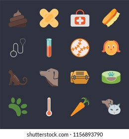 Set Of 16 icons such as Pet, Carrot, Thermometer, Animal, Pet bed, Poop, Leash, Cat, Toy on black background, web UI editable icon pack