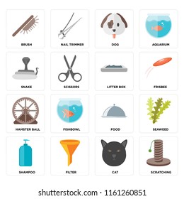 Set Of 16 icons such as Scratching, Cat, Filter, Shampoo, Seaweed, Brush, Snake, Hamster ball, Litter box, web UI editable icon pack, pixel perfect