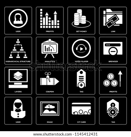 Set Of 16 icons such as Tag, Cit card, Image, User, Profits, Hierarchical structure, Layers, Video player, web UI editable icon pack, pixel perfect