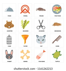 Set Of 16 icons such as Turtle, Fish bone, Bones, Rabbit, Comb, Food, Hamster, Cage, Scissors, web UI editable icon pack, pixel perfect