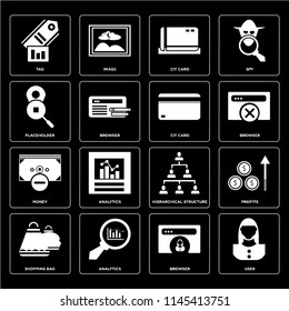 Set Of 16 icons such as User, Browser, Analytics, Shopping bag, Profits, Tag, Placeholder, Money, Cit card, web UI editable icon pack, pixel perfect