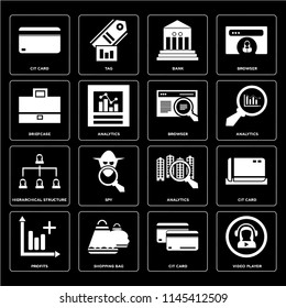 Set Of 16 icons such as Video player, Cit card, Shopping bag, Profits, Briefcase, Hierarchical structure, Browser, web UI editable icon pack, pixel perfect