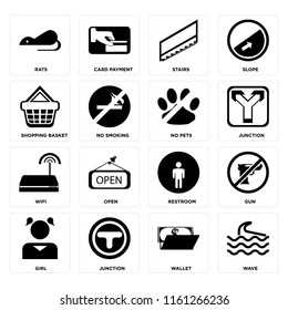 Set Of 16 icons such as Wave, Wallet, Junction, Girl, Gun, Rats, Shopping basket, Wifi, No pets, web UI editable icon pack, pixel perfect