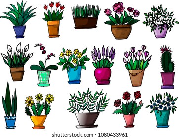 A set of 16 isolated hand-drawn indoor flowers.  icons, stickers template