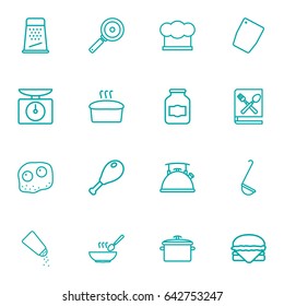 Set Of 16 Kitchen Outline Icons Set.Collection Of Chopping Board, Chicken Leg, Kettle And Other Elements.