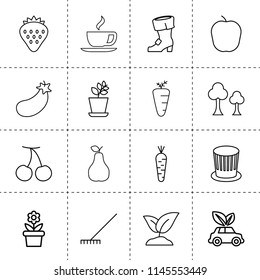 Set of 16 leaf outline icons such as tree, rake, cherry, plant, eggplant, pear, sprouting, strawberry, carrot, eco car, st patricks day hat, st patrick's day boot, apple