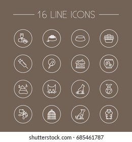 Set Of 16 Mammal Outline Icons Set.Collection Of Medal, Vaccination, Cat And Other Elements.