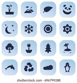 Set Of 16 Natural Icons Set.Collection Of Foliage, Solar, Spruce And Other Elements.