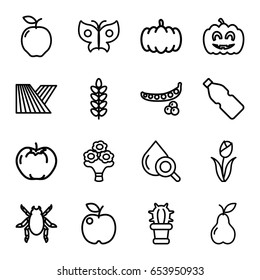 Set of 16 natural outline icons such as beetle, field, pumpkin, apple, peas