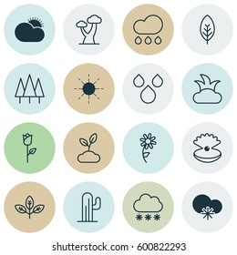 Set Of 16 Nature Icons. Includes Snowstorm, Sun, Plant And Other Symbols. Beautiful Design Elements.