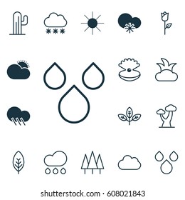 Set Of 16 Nature Icons. Includes Bush, Cloud, Raindrop And Other Symbols. Beautiful Design Elements.