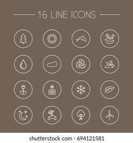 Set Of 16 Nature Outline Icons Set.Collection Of Eco Energy, Water Drop, Dolphin And Other Elements.