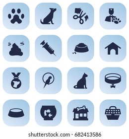 Set Of 16 Pets Icons Set.Collection Of Veterinarian, Bird, Store And Other Elements.