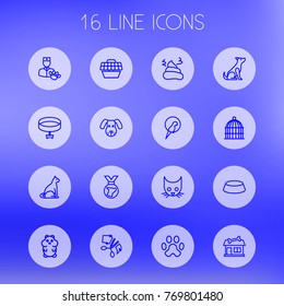 Set Of 16 Pets Outline Icons Set.Collection Of Carries, Shop, Bowl And Other Elements.
