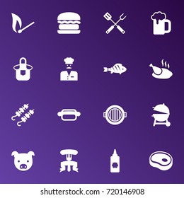 Set Of 16 Picnic Icons Set.Collection Of Matchstick, Equipment, Fast Food And Other Elements.