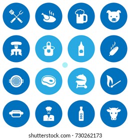 Set Of 16 Picnic Icons Set.Collection Of Grilled, Bbq Sauce, Kitchen Uniform And Other Elements.