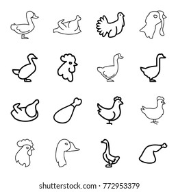 Set of 16 poultry outline icons such as chicken, goose, rooster, meat leg