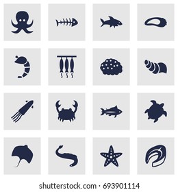 Set Of 16 Sea Icons Set.Collection Of Devilfish, Crustaceans, Stingray And Other Elements.