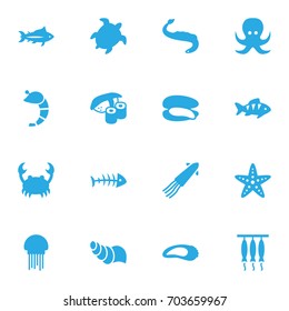Set Of 16 Sea Icons Set.Collection Of Shell, Sink, Crustaceans And Other Elements.
