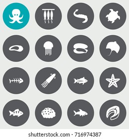 Set Of 16 Seafood Icons Set.Collection Of Beefsteak, Sea Star, Shell And Other Elements.