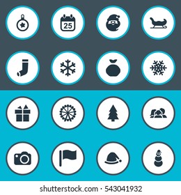 Set Of 16 Simple Celebration Icons. Can Be Found Such Elements As Forest, Ice Man, Snow And Other.