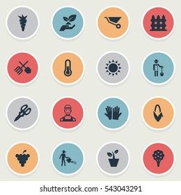 Set Of 16 Simple Garden Icons. Can Be Found Such Elements As Horticultural Gauntlet, Sunshine, Apple Timber And Other.