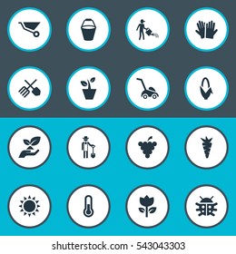 Set Of 16 Simple Horticulture Icons. Can Be Found Such Elements As Temperature, Pail, Root And Other.