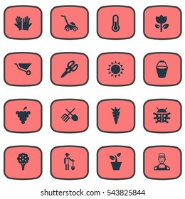 Set Of 16 Simple Horticulture Icons. Can Be Found Such Elements As Apple Timber, Wheelbarrow, Root And Other.