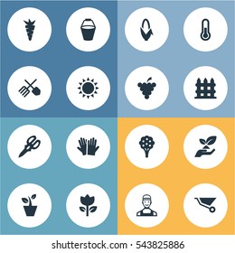 Set Of 16 Simple Horticulture Icons. Can Be Found Such Elements As Shear, Blossom, Horticulture Equipment And Other.