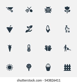 Set Of 16 Simple Horticulture Icons. Can Be Found Such Elements As Temperature, Beetle, Plougher And Other.