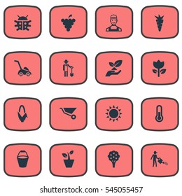 Set Of 16 Simple Horticulture Icons. Can Be Found Such Elements As Plougher, Maize, Pail And Other.