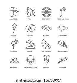 Set Of 16 simple line icons such as Maracas, Swimsuit, Flower necklace, Swimming, Conch shell, Albatross, Flower, Flamingo, Mattress, editable stroke icon pack, pixel perfect