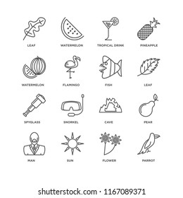 Set Of 16 simple line icons such as Parrot, Flower, Sun, Man, Pear, Leaf, Watermelon, Spyglass, Fish, editable stroke icon pack, pixel perfect