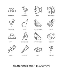 Set Of 16 simple line icons such as Flower, Fish, Spyglass, Leaf, Coconut, Swimming, Flamingo, Cave, Watermelon, editable stroke icon pack, pixel perfect