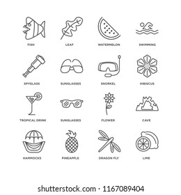 Set Of 16 simple line icons such as Lime, Dragon fly, Pineapple, Hammocks, Cave, Fish, Spyglass, Tropical drink, Snorkel, editable stroke icon pack, pixel perfect