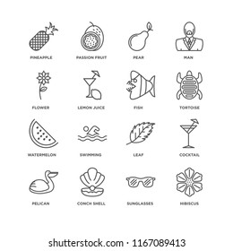 Set Of 16 simple line icons such as Hibiscus, Sunglasses, Conch shell, Pelican, Cocktail, Pineapple, Flower, Watermelon, Fish, editable stroke icon pack, pixel perfect