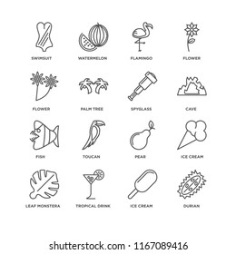 Set Of 16 simple line icons such as Durian, Ice cream, Tropical drink, Leaf monstera, Swimsuit, Flower, Fish, Spyglass, editable stroke icon pack, pixel perfect