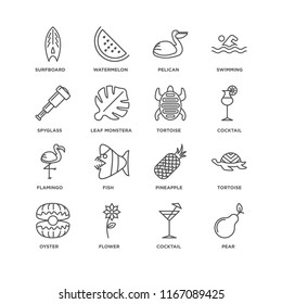 Set Of 16 simple line icons such as Pear, Cocktail, Flower, Oyster, Tortoise, Surfboard, Spyglass, Flamingo, editable stroke icon pack, pixel perfect