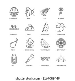 Set Of 16 simple line icons such as Watermelon, Sunglasses, Spyglass, Oil, Grapefruit, Hammocks, Swimming, Pear, Surfboard, editable stroke icon pack, pixel perfect