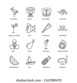 Set Of 16 simple line icons such as Snorkel, Pineapple, Sail, Watermelon, Passion fruit, Flamingo, Tropical drink, Man, Spyglass, editable stroke icon pack, pixel perfect